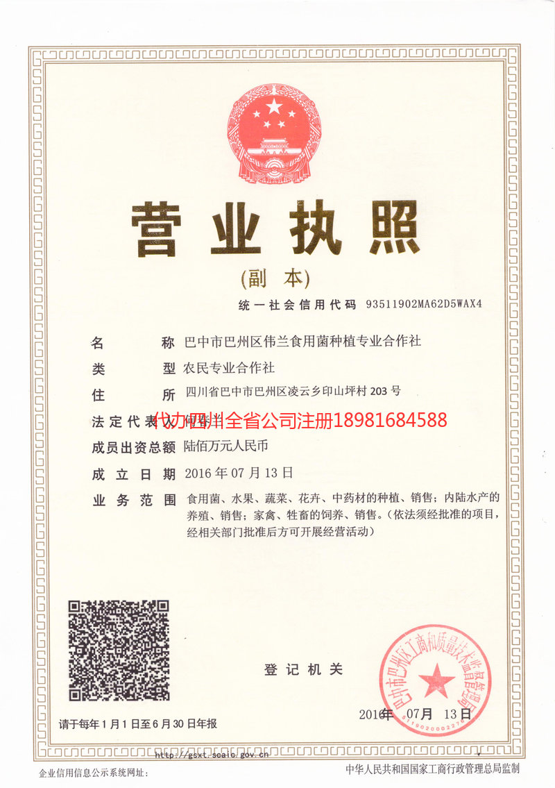 巴州巴州伟兰食用菌种植专业合作社