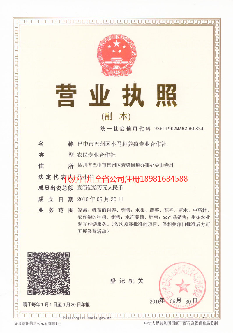 巴州巴州小马种养殖专业合作社